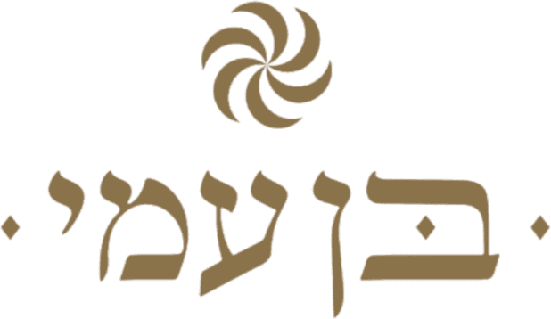 Ben Ami